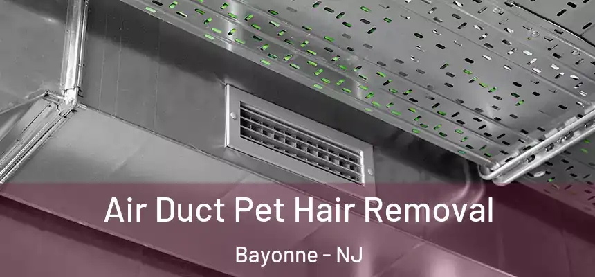 Air Duct Pet Hair Removal Bayonne - NJ