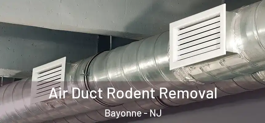 Air Duct Rodent Removal Bayonne - NJ