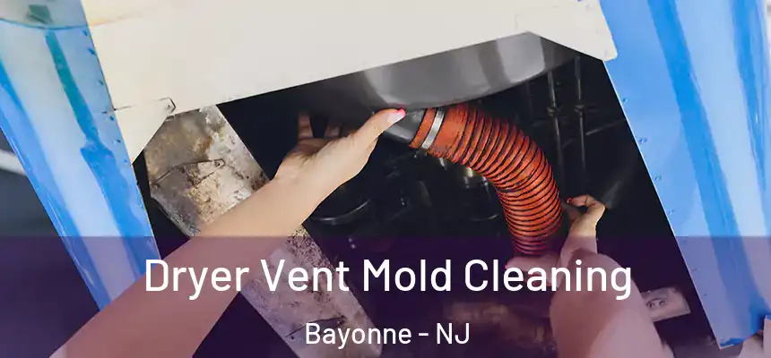 Dryer Vent Mold Cleaning Bayonne - NJ