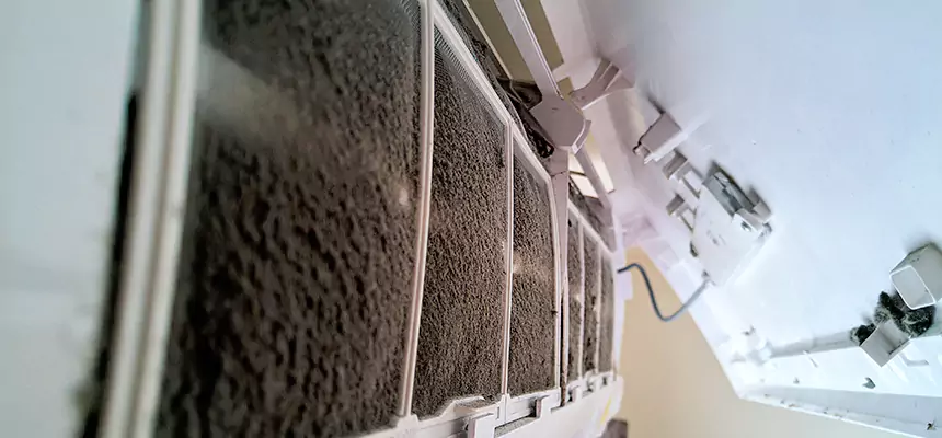 Preventive Air Duct Bacteria Removal in Bayonne