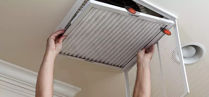 Preventive Cockroach-Proofing for Ducts in Bayonne