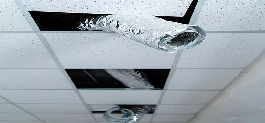 Affordable HVAC Sanitizing After Pest Removal in Bayonne