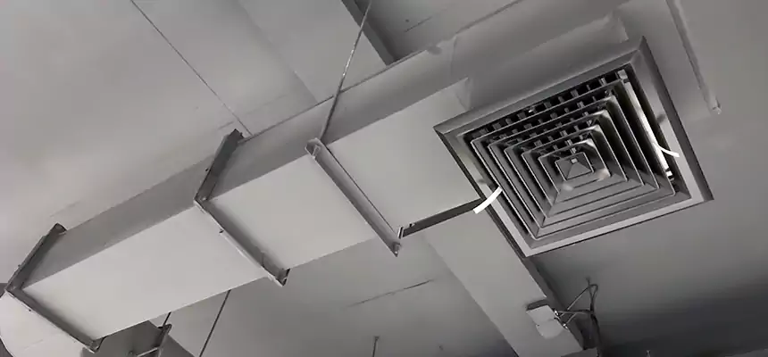 Our Pest Removal From Ducts Services in Bayonne, NJ