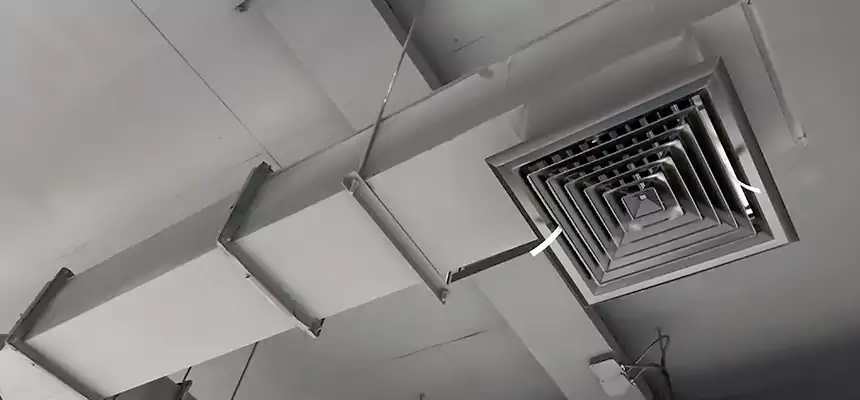 Our Rodent Droppings In Vents Services in Bayonne, NJ