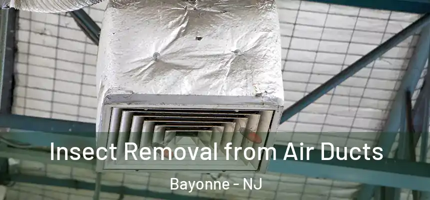 Insect Removal from Air Ducts Bayonne - NJ