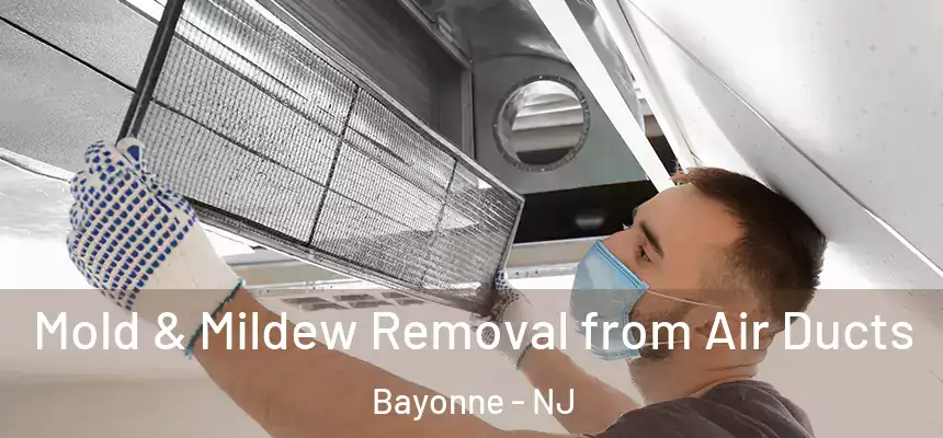 Mold & Mildew Removal from Air Ducts Bayonne - NJ