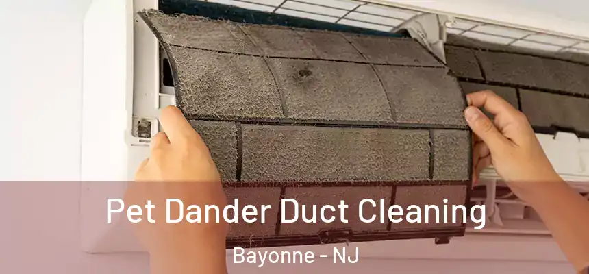 Pet Dander Duct Cleaning Bayonne - NJ