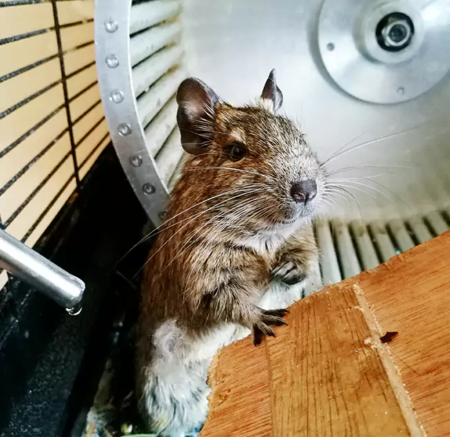 Why Homeowners & Businesses Trust Us Bayonne, NJ?